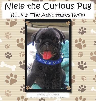 Niele the Curious Pug 1