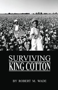 bokomslag Surviving King Cotton
