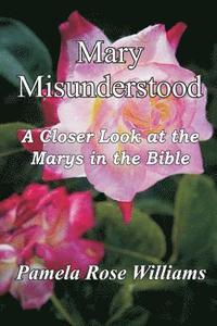 bokomslag Mary Misunderstood