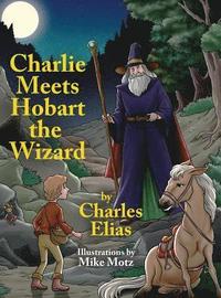 bokomslag Charlie Meets Hobart the Wizard