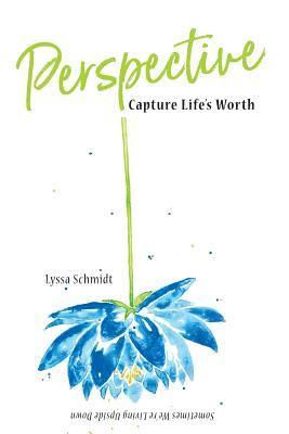 Lyssa Schmidt - Perspective: Capture Life's Worth, Häftad