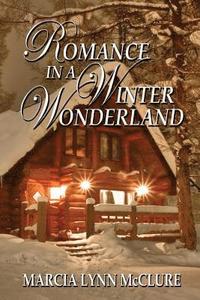 bokomslag Romance in a Winter Wonderland