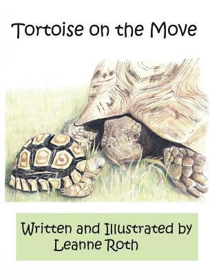 Tortoise on the Move 1