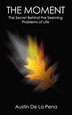 Austin de la Pena - The Moment: The Secret Joy Hidden Beneath the Sorrows of Life, Häftad