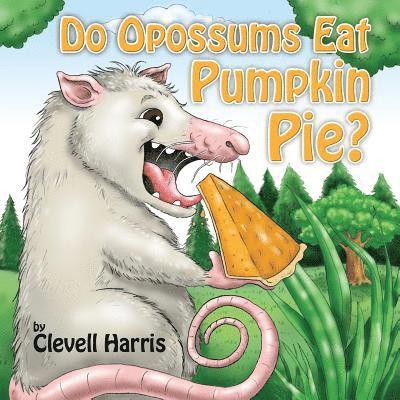 Do Opossums Eat Pumpkin Pie? 1