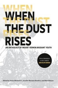 bokomslag When the Dust Rises