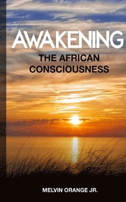 bokomslag Awakening The African Consciousness