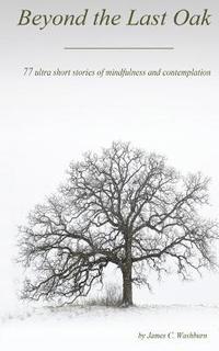 bokomslag Beyond the Last Oak: 77 Ultra Short Stories of Mindfulness & Contemplation