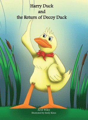 Harry Duck and the Return of Decoy Duck 1