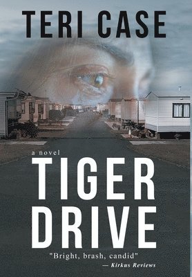 bokomslag Tiger Drive