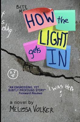 Melissa Volker - How the Light gets In, Häftad