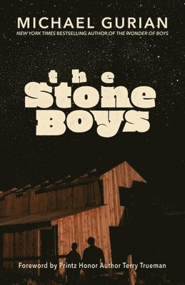 Michael Gurian - Stone Boys, Häftad