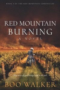 bokomslag Red Mountain Burning