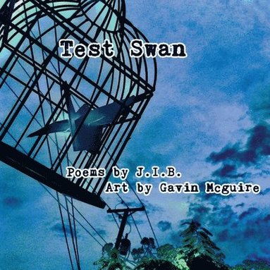 J I B - Test Swan, Häftad