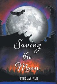 bokomslag Saving the Moon
