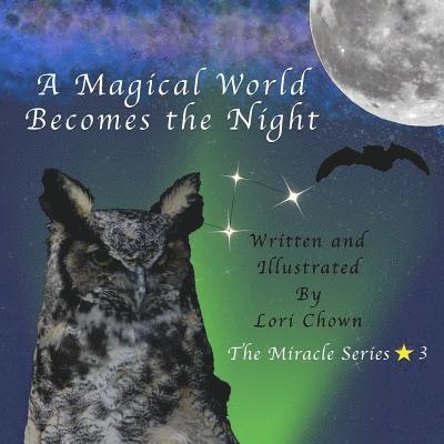 A Magical World Becomes the Night 1