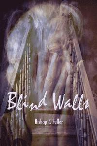 bokomslag Blind Walls