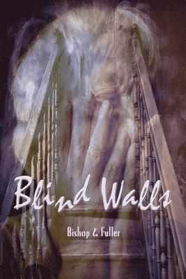 Conrad Bishop, Elizabeth Fuller - Blind Walls, Häftad