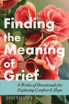 Janet Haney, Emily Ann Peterson - Finding the Meaning of Grief, Häftad