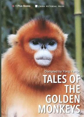 Tales of the Golden Monkeys 1