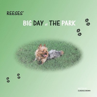 Sharita Clark - Reeses' BIG DAY at THE PARK, Häftad