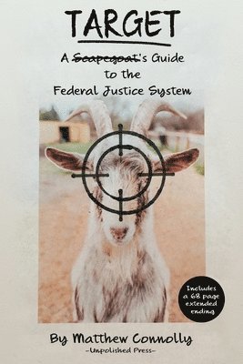Matthew Connolly - Target: A Scapegoat's Guide to the Federal Justice System, Häftad