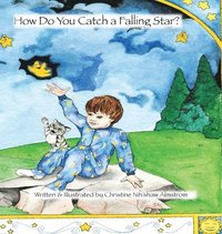bokomslag How Do You Catch a Falling Star?