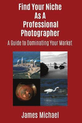 bokomslag Find Your Niche As A Professional Photographer: A Guide To Dominating Your Market