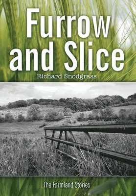 bokomslag Furrow and Slice