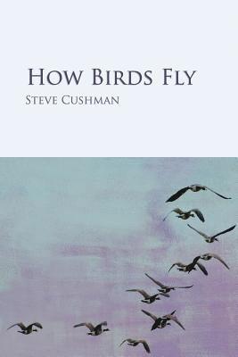 How Birds Fly 1