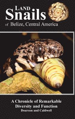 bokomslag Land Snails of Belize, Central America
