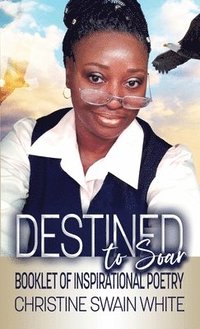 bokomslag Destined To Soar