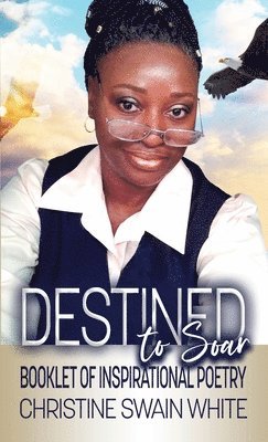 bokomslag Destined To Soar