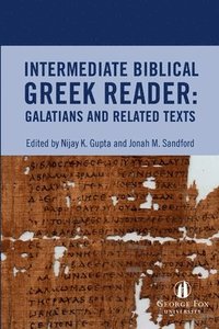 bokomslag Intermediate Biblical Greek Reader