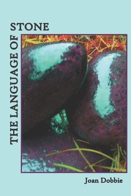 bokomslag The Language of Stone: Poems