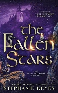 bokomslag The Fallen Stars