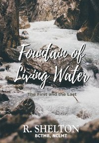 bokomslag Fountain of Living Water