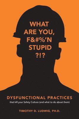 bokomslag Dysfunctional Practices: that kill your Safety Culture (and what to do about them)