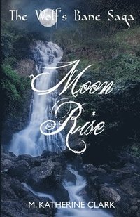 bokomslag Moon Rise