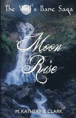 Moon Rise 1