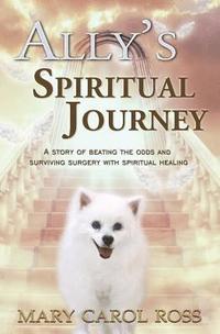 bokomslag Ally's Spiritual Journey