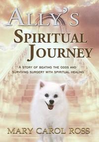 bokomslag Ally's Spiritual Journey