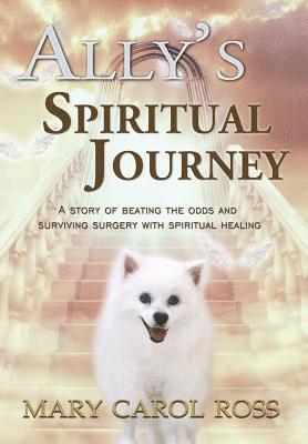 bokomslag Ally's Spiritual Journey