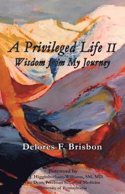 bokomslag A Privileged Life II: Wisdom from My Journey