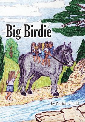bokomslag Big Birdie
