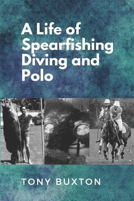 A Life Of Spearfishing Diving and Polo 1