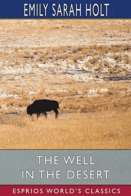 bokomslag The Well In The Desert  Esprios Classics
