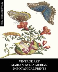 bokomslag Vintage Art: Maria Sibylla Merian: 20 Botanical Prints: Entomology Ephemera for Framing, Home Decor and Collage