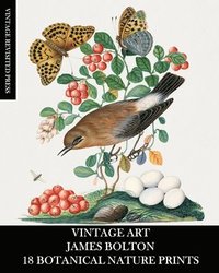 bokomslag Vintage Art: James Bolton: 18 Botanical