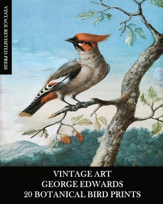 bokomslag Vintage Art: George Edwards: 20 Botanical Bird Prints: Ephemera for Framing, Home Decor, Collage and Decoupage